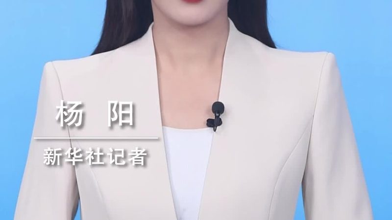 企业搜索系统代理：揭秘其核心价值与应用场景